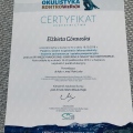 Powiększ obraz: certificate 6