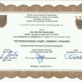 Powiększ obraz: certificate 5