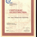 Powiększ obraz: certificate 19