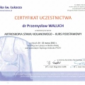Powiększ obraz: certificate 9
