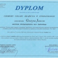 Powiększ obraz: certificate 2