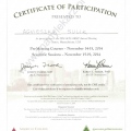 Powiększ obraz: certificate 9