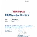 Powiększ obraz: certificate 7