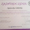 Powiększ obraz: certificate 9