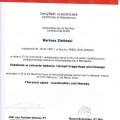 Powiększ obraz: certificate 10