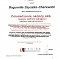 Powiększ obraz: certificate 11
