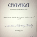 Powiększ obraz: certificate 2