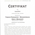 Powiększ obraz: certificate 8