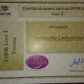 Powiększ obraz: certificate 11