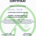 Powiększ obraz: certificate 13