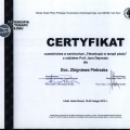 Powiększ obraz: certificate 23