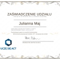Powiększ obraz: certificate 4