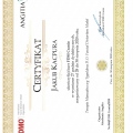Powiększ obraz: certificate 2