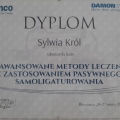Powiększ obraz: certificate 3