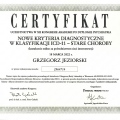Powiększ obraz: certificate 2