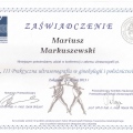 Powiększ obraz: certificate 9