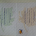 Powiększ obraz: certificate 10