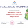 Powiększ obraz: certificate 8