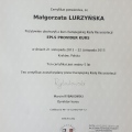 Powiększ obraz: certificate 5
