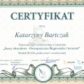 Powiększ obraz: certificate 13