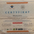 Powiększ obraz: certificate 4