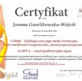 Powiększ obraz: certificate 49