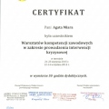 Powiększ obraz: certificate 2