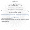 Powiększ obraz: certificate 43