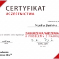 Powiększ obraz: certificate 2