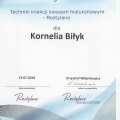Powiększ obraz: certificate 1
