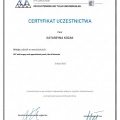 Powiększ obraz: certificate 24