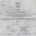 Powiększ obraz: certificate 1