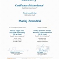 Powiększ obraz: certificate 1