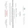 Powiększ obraz: certificate 9