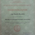 Powiększ obraz: certificate 1