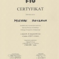 Powiększ obraz: certificate 9