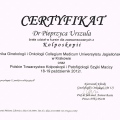 Powiększ obraz: certificate 15
