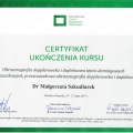 Powiększ obraz: certificate 1