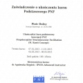 Powiększ obraz: certificate 2