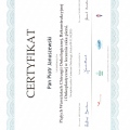 Powiększ obraz: certificate 8