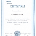 Powiększ obraz: certificate 25
