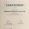 Powiększ obraz: certificate 64
