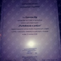 Powiększ obraz: certificate 1