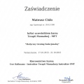 Powiększ obraz: certificate 9
