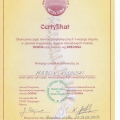 Powiększ obraz: certificate 24