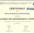 Powiększ obraz: certificate 8