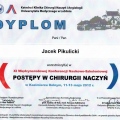 Powiększ obraz: certificate 2