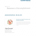 Powiększ obraz: certificate 14
