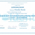 Powiększ obraz: certificate 13