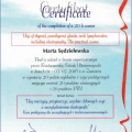 Powiększ obraz: certificate 9